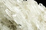 Clear Quartz Crystal Cluster - Colombia #368468-1